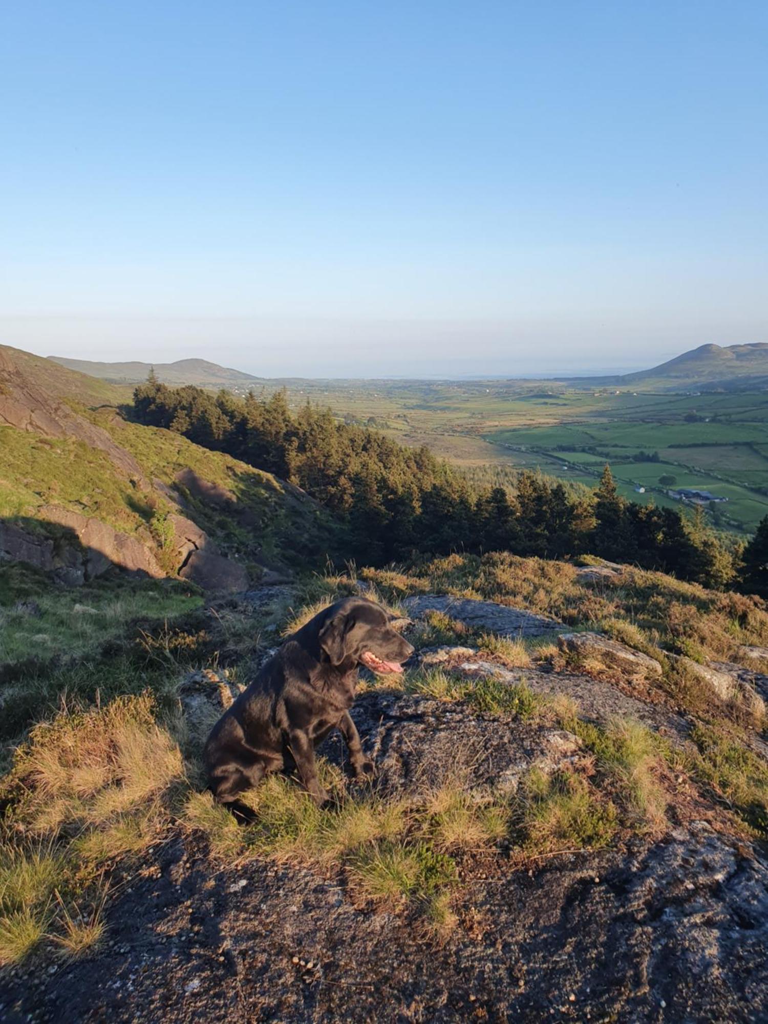 Carlingford Mountain Farm Dundalk