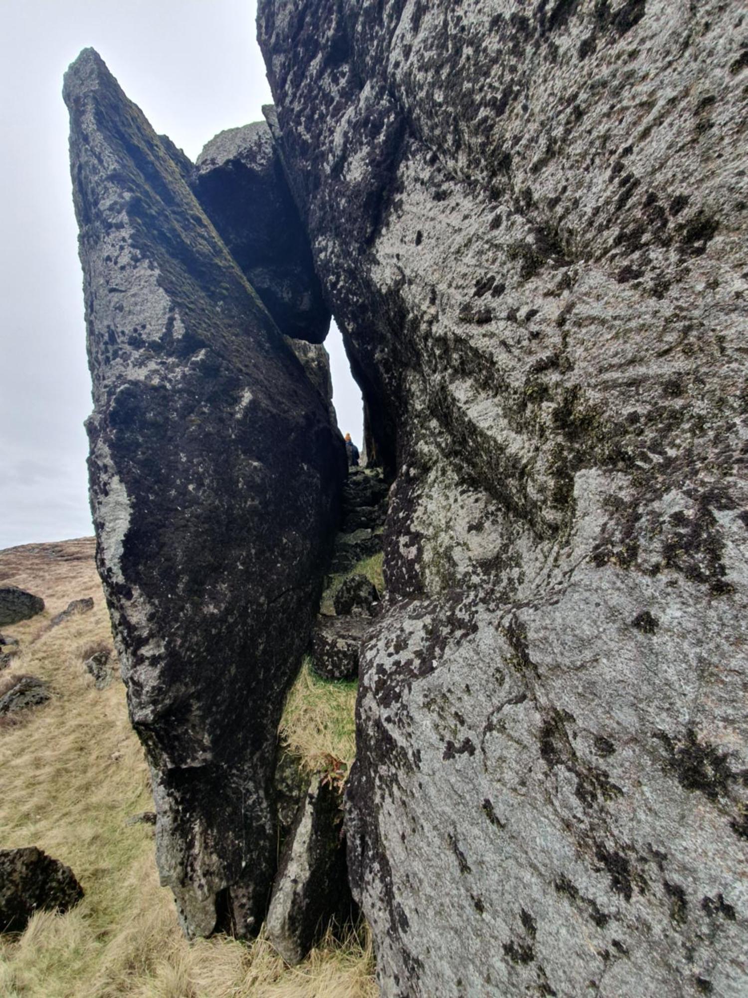 Carlingford Mountain Farm
